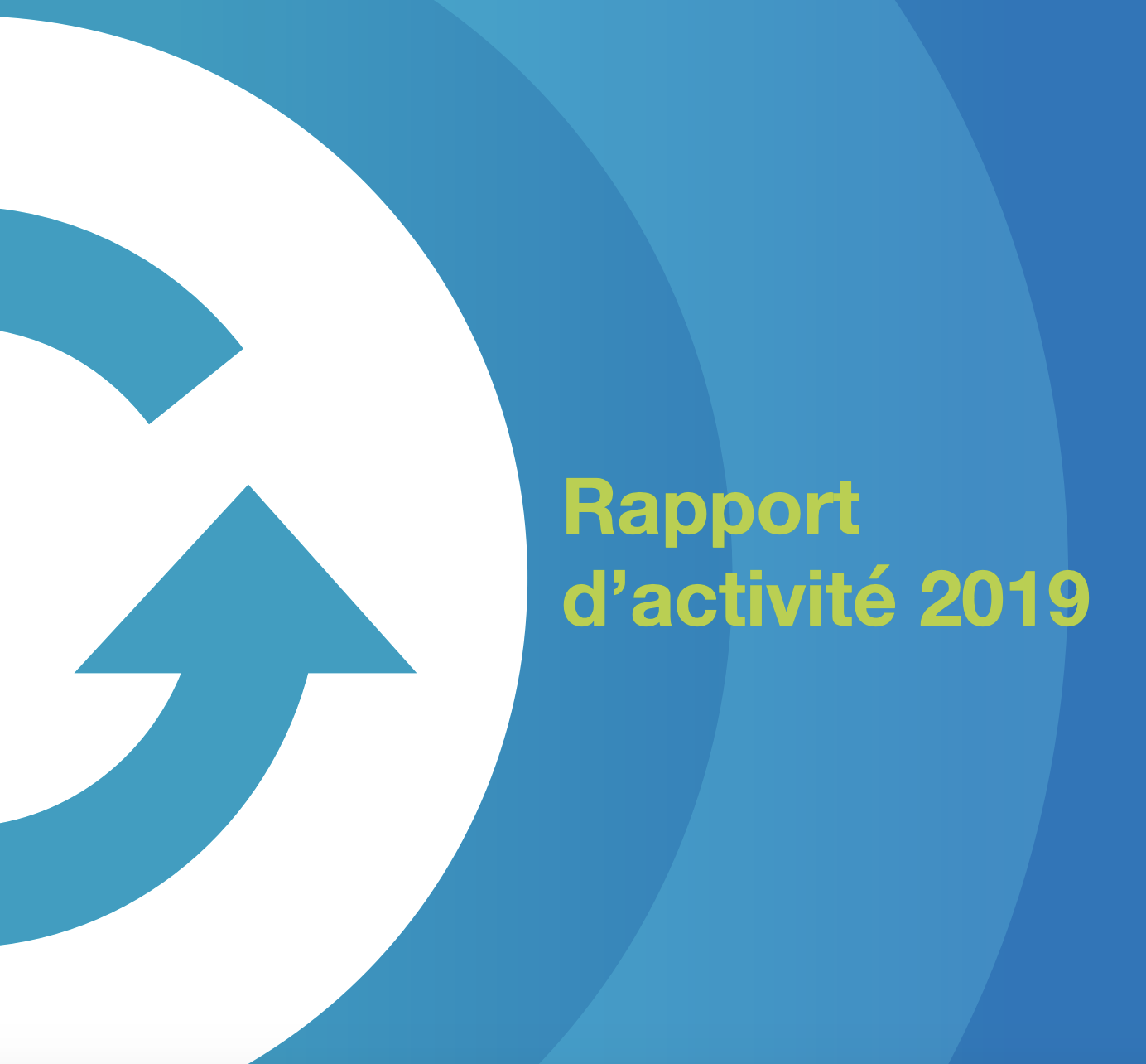 Activity report 2019